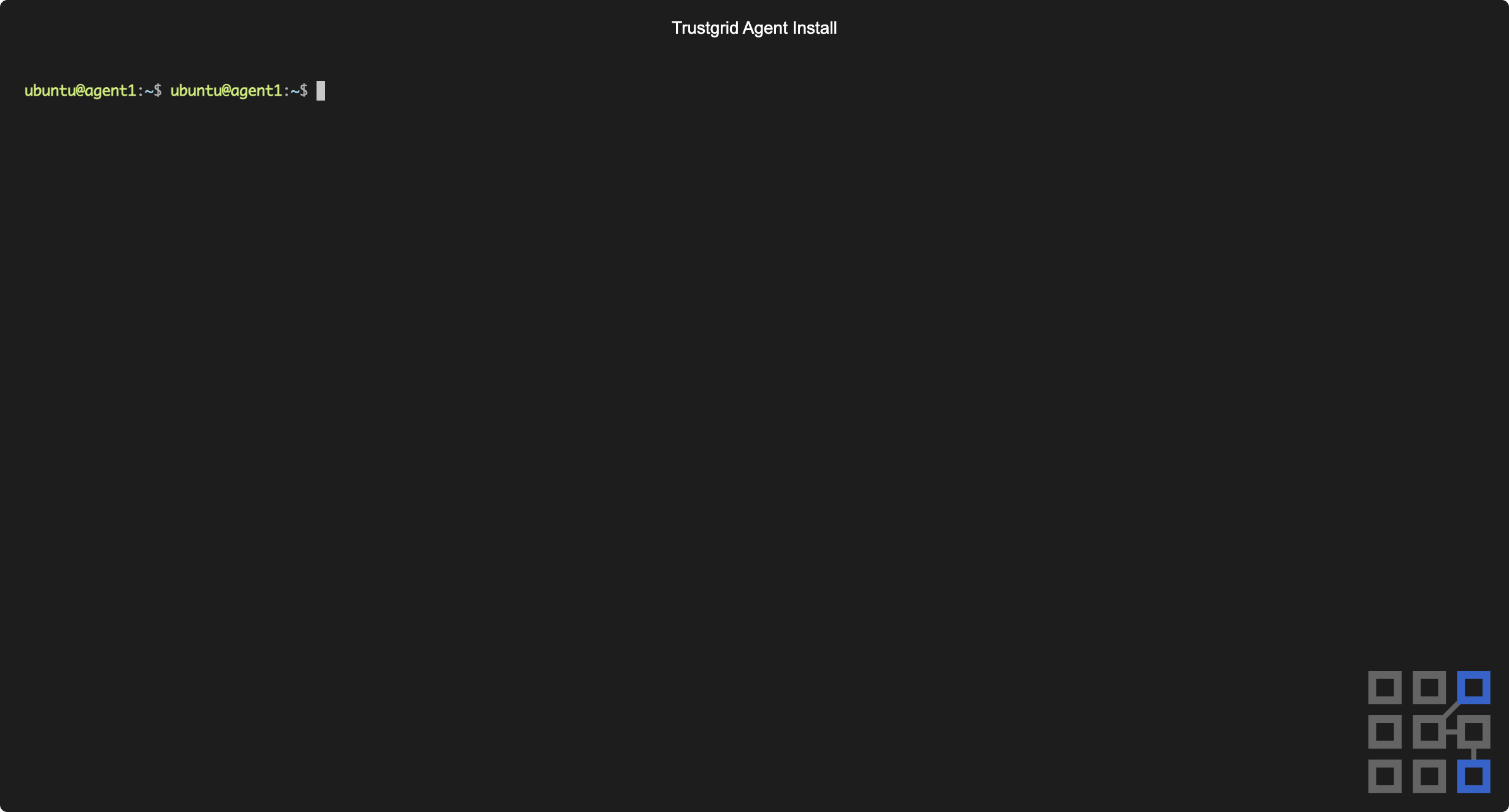 Terminal window showing the Trustgrid agent being installed